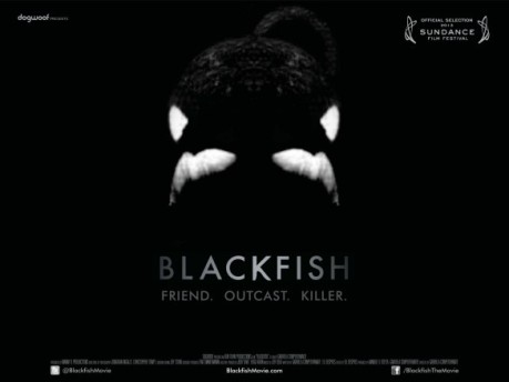 It's a beautifully eerie poster that truly empraces the killer side of the killer whale